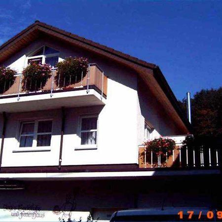 Ferienappartements Bruestle Freiburg im Breisgau Exterior photo